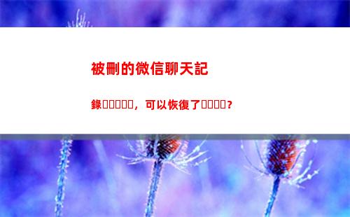 被刪的微信聊天記錄，可以恢復了？(微信聊天記錄刪除了 怎么找回)